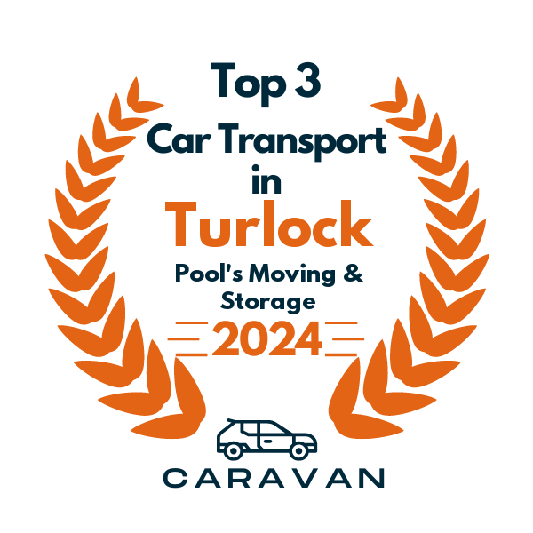 top 3 ranked auto transport in turlock 2024 pools moving storage